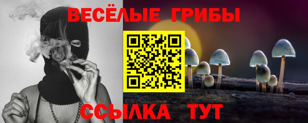 Карталы  Галлюциногенные грибы Psilocybine cubensis  Вход с VPN  Псилоцибиновые грибы Psilocybine cubensis 